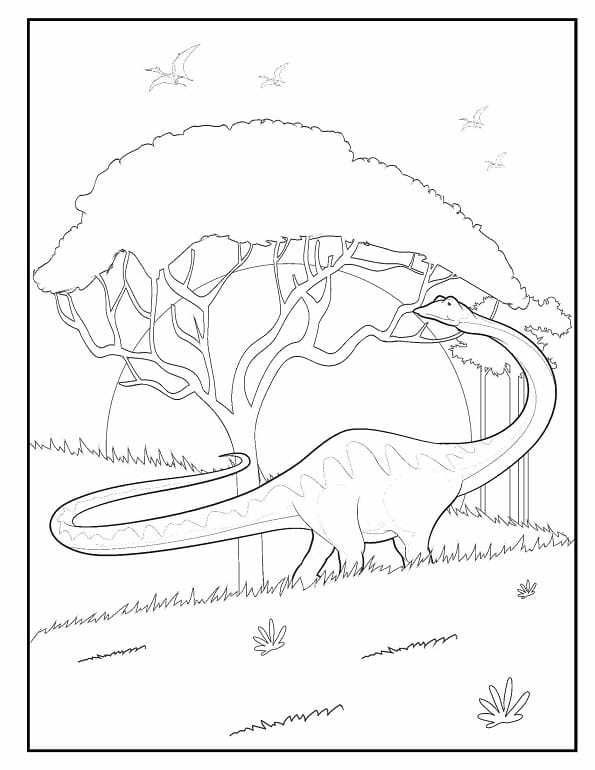 Free printable diplodocus grazing on leaves from a tall ancient tree dinosaur coloring page for kids. Download PDF.