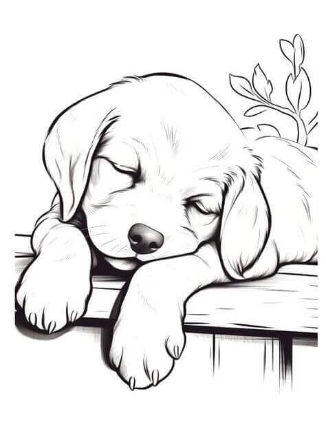 Free printable sleeping puppy close up dog coloring page for kids. Download PDF.