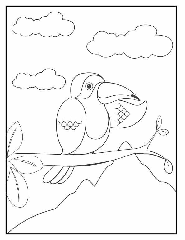 Free printable tropical toucan bird on branch cute & baby coloring page for kids. Download PDF.
