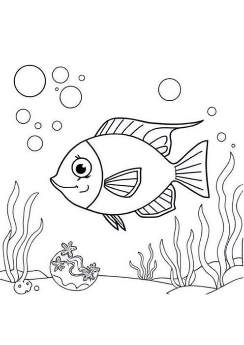 Free printable tropical fish near an underwater shell ocean & sea animals coloring page for kids. Download PDF.